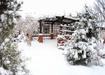 Zimowy ogród w Podkowie.