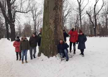 Uczestnicy Klubu Milusińscy na spacerze w parku.