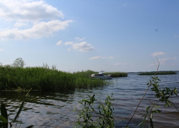 Widok na brzegi jeziora.