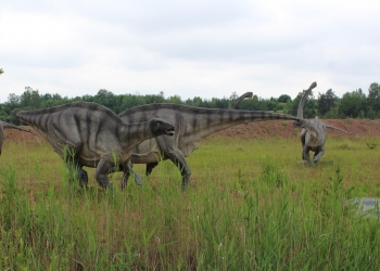 Dinozaury.