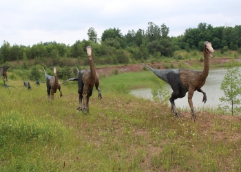 Dinozaury.