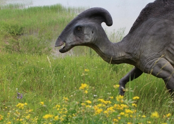 Dinozaury.
