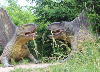 Dinozaury.