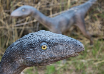 Dinozaur.