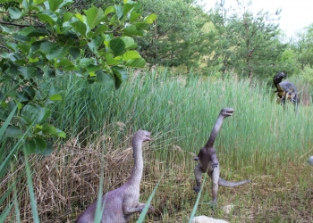 Dinozaury.