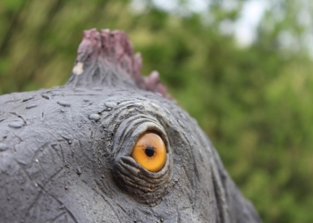 Spojrzenie dinozaura.