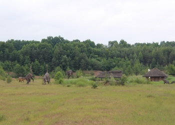 Dinozaury.
