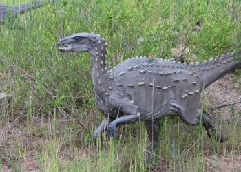 Dinozaury.