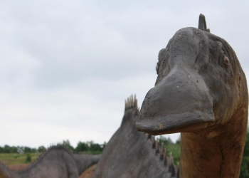 Dinozaury.