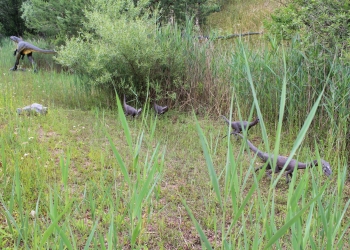 Dinozaury.
