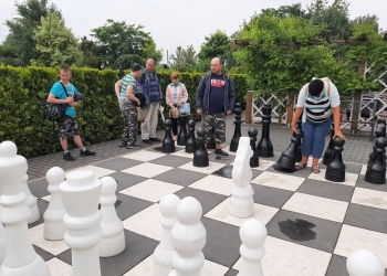 Wspólna gra w szachy. 