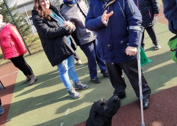 Dogoterapia.
