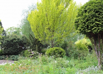 Wiosenny ogród.