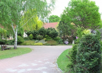 Widok ogrodu.