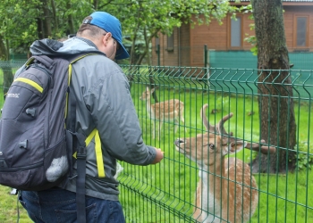 Zwiedzamy Zoo.