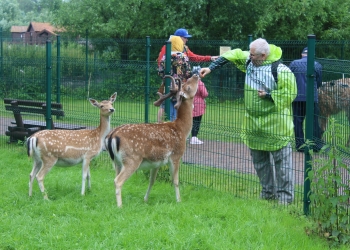 Zwiedzamy Zoo.