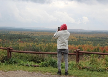 Panorama Pustyni Błędowskiej.