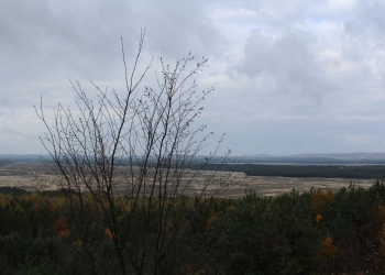 Panorama Pustyni Błędowskiej.