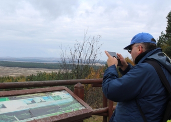 Panorama Pustyni Błędowskiej.