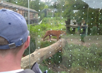 Zwiedzanie Zoo.