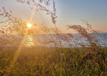 Plażowanie.