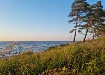 Plażowanie.