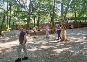 Zagroda żubrów w Międzyzdrojach.