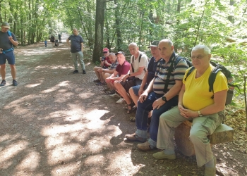 Zagroda żubrów w Międzyzdrojach.