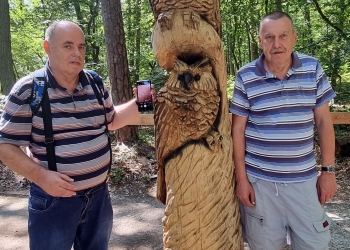 Zagroda żubrów w Międzyzdrojach.