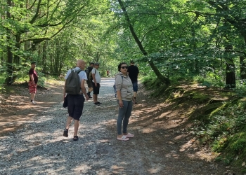 Zagroda żubrów w Międzyzdrojach.