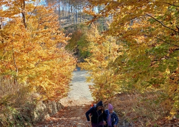 Górski szlak - Szyndzielnia.