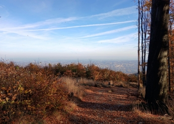 Górski szlak - Szyndzielnia.