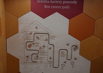 Zwiedzanie Apilandii.