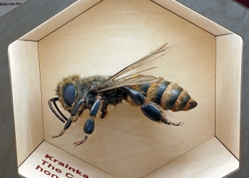 Zwiedzanie Apilandii.