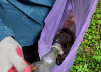 Uczestnik akcji pokazuje rozbitą butelkę znalezioną w lesie. Uczestnik ma na rękach rękawiczki ochronne.