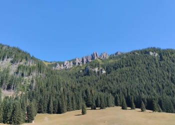 Panorama Doliny Chochołowskiej.