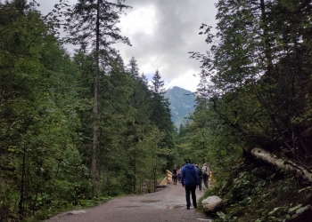 Spacer Doliną Stążyską. W tle Tatry.