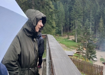 Uczestniczka podczas spaceru w koronach drzew.