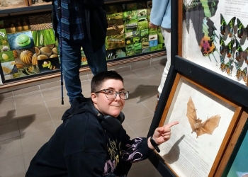 Uczestniczka wycieczki ogląda wystawę dotyczącą motyli.