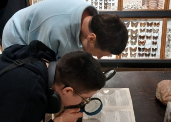 Uczestnicy ogladają obrazki motyki przez lupę.