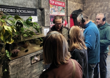 Kilka osób ze słuchawkami na uszach słucha nagrania audio podczas zwiedzania wystawy.