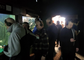 Kilka osób ze słuchawkami na uszach słucha nagrania audio podczas zwiedzania wystawy