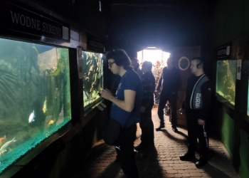 Kilka osób ze słuchawkami na uszach słucha nagrania audio podczas zwiedzania wystawy.