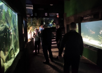 Kilka osób ogląda ekspozycje, pomieszczenie jest ciemne, oświetlone są tylko akwaria wkomponowane w ściany.