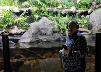 Mężczyzna stoi przed akwarium, które przedstawia tatrzański potok.