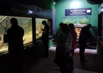 Kilka osób oglada akwaria wkomponowane w ściany. Pomieszczenie jest ciemne, oświetlone sa tylko akwaria.
