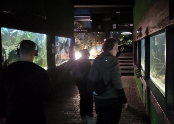 Kilka osób oglada akwaria wkomponowane w ściany. Pomieszczenie jest ciemne, oświetlone sa tylko akwaria.