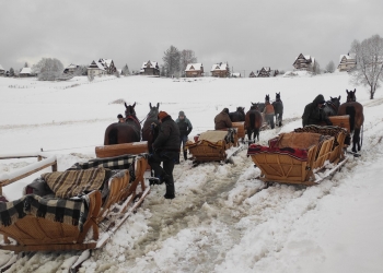 Sanie przygotowane do kuligu. 