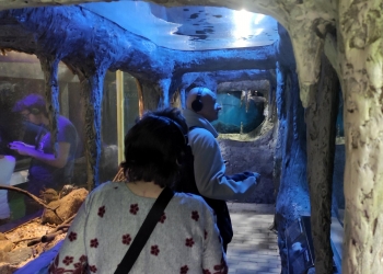 Uczestnicy ogladają ekspozycje stojąc w wąskim korytarzu, w ściany wkomponowane są duże akwaria.