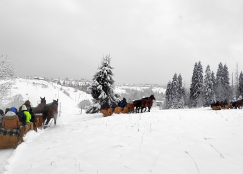 Kulig, konie ciągną sanie, w saniach siedzą ludzie.W tle panorama gór, jest mgła.